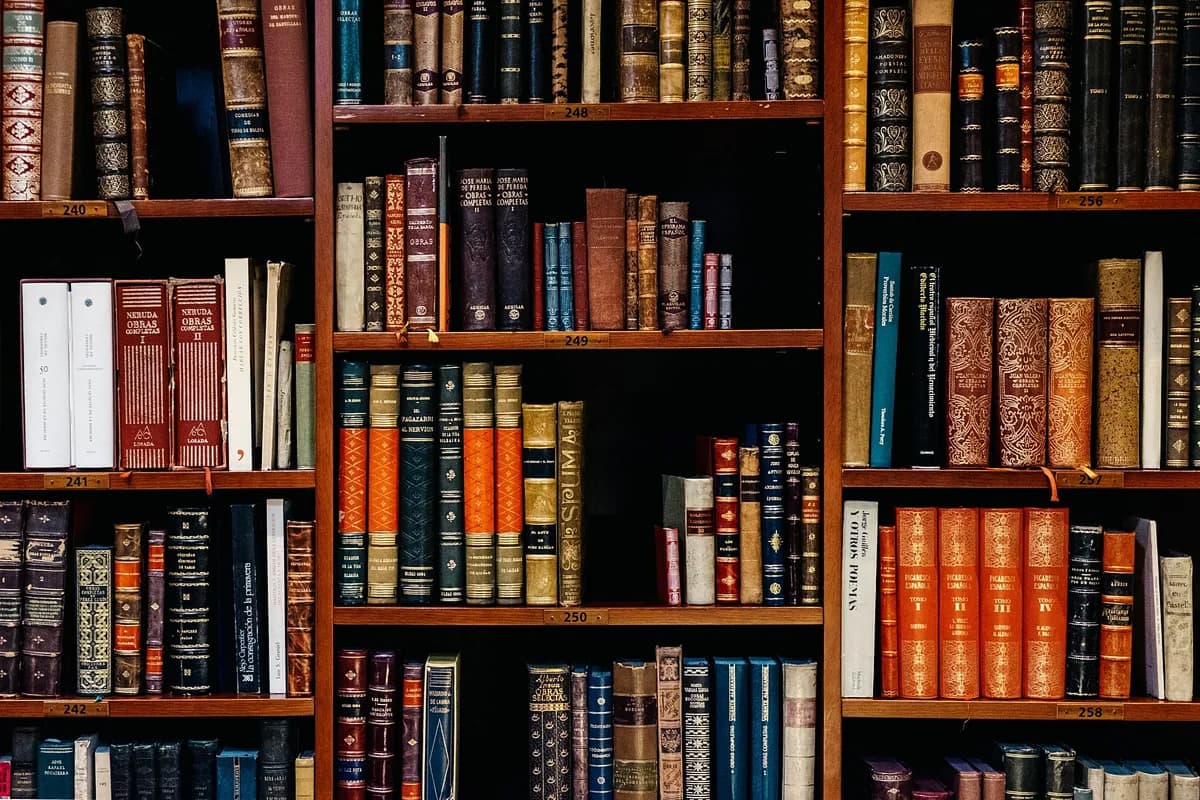 Consistent and rapid translation of large volumes of legal content | Travod