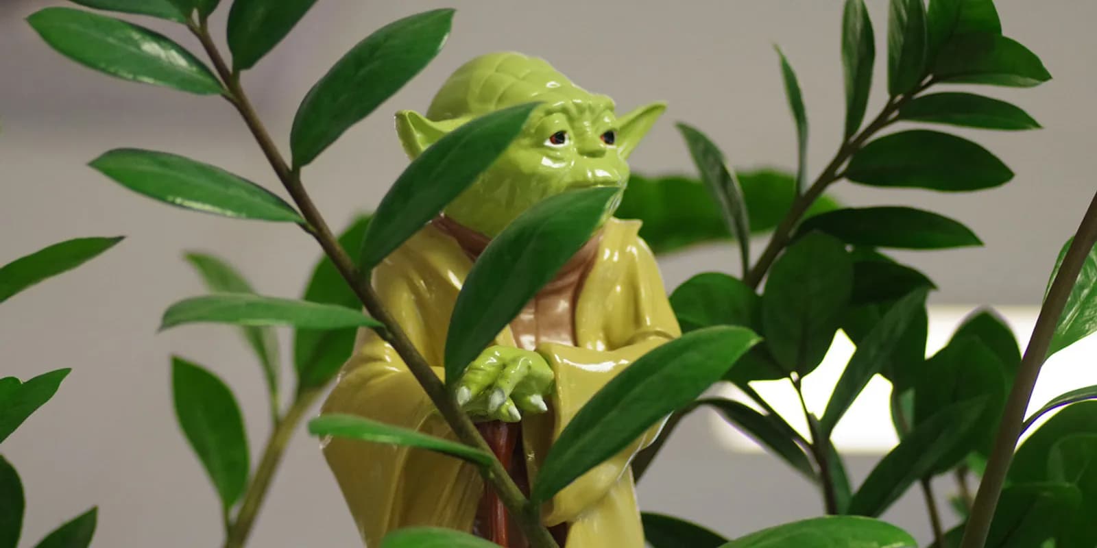 Jedi Master Yoda holding a glowing green lightsaber next to May the Fourth text for media localization