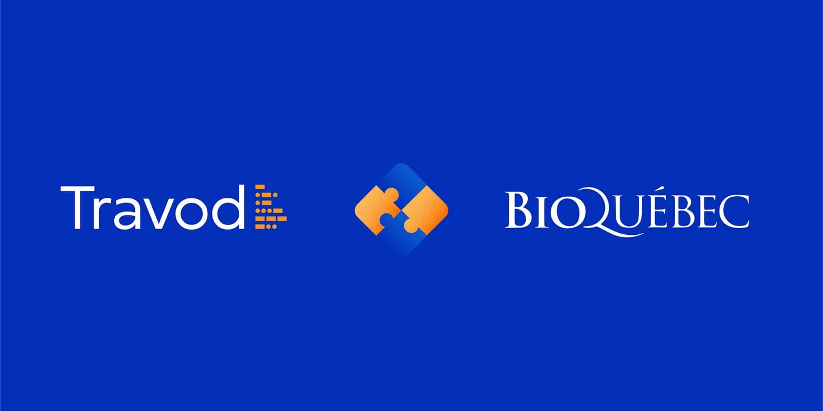 Healthcare Translation Services Partnership | Travod